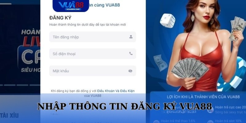 Nhập thông tin chính xác bảo đảm thành công sở hữu tài khoản