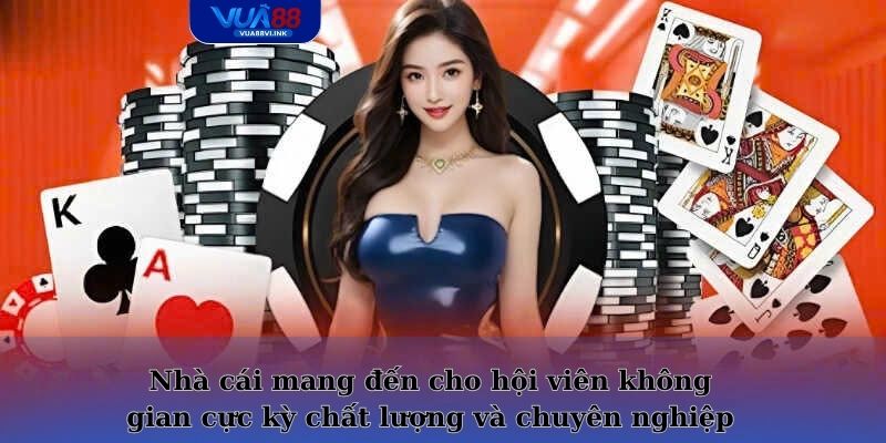 Nhà cái mang đến cho hội viên không gian cực kỳ chất lượng và chuyên nghiệp