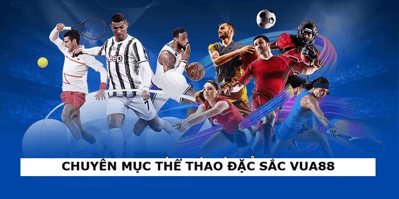 Chuyên mục thể thao đặc sắc Vua88
