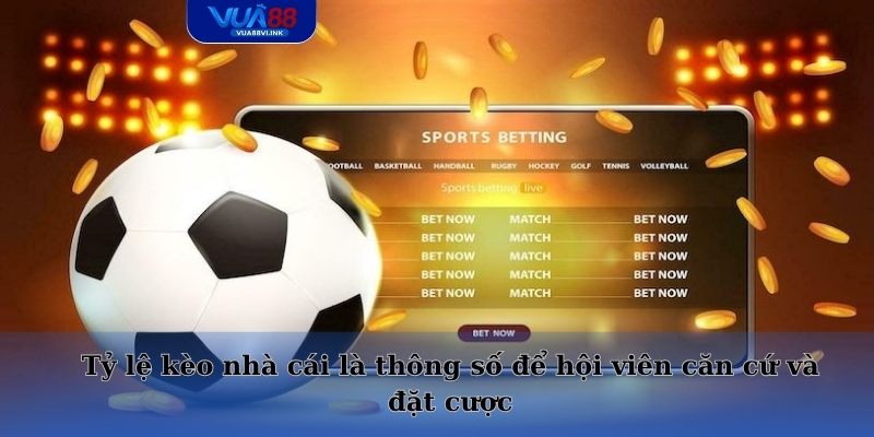 Tỷ lệ kèo nhà cái là thông số để hội viên căn cứ và đặt cược
