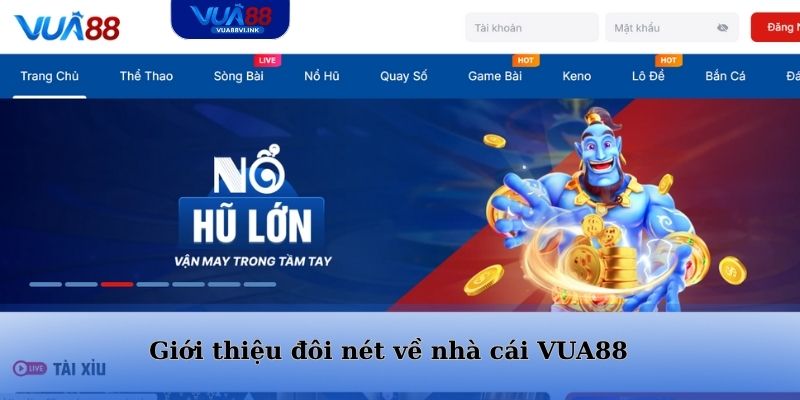 Giới thiệu đôi nét về nhà cái VUA88